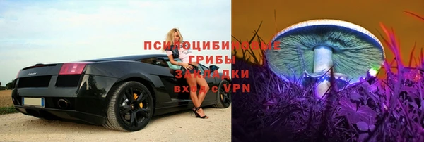 крисы Алексеевка